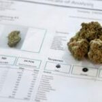 New marijuana testing rules a focus of complaints from industry licensees