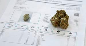 New marijuana testing rules a focus of complaints from industry licensees